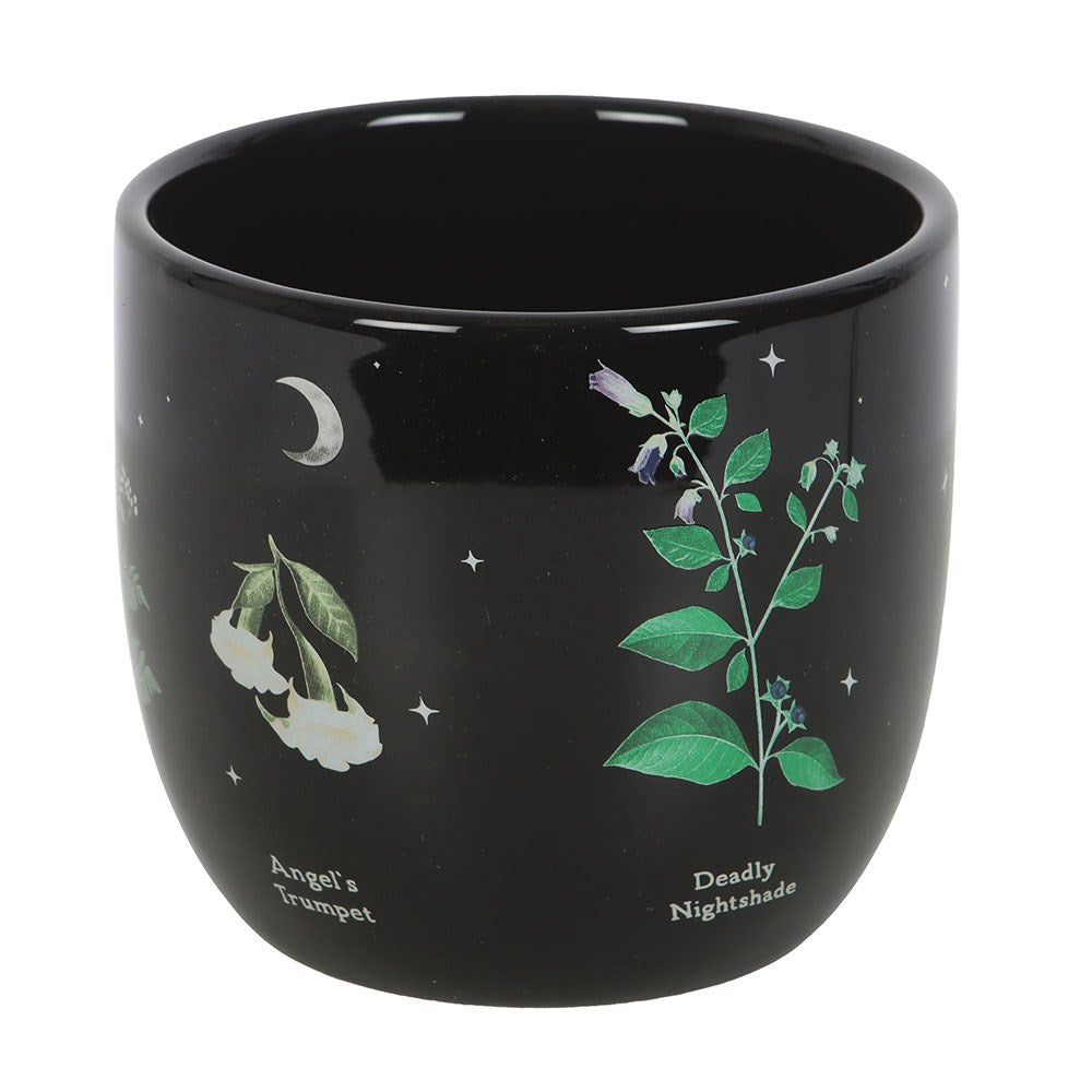 Giftige Pflanzen Blumentopf Gothic Deko