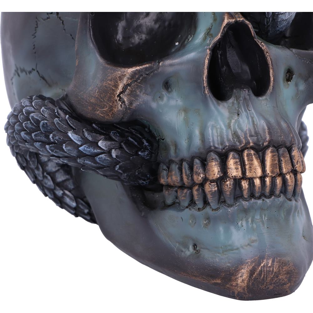 Serpentine Fate – Totenschädel mit Schlange 19 cm Gothic Dekofigur Skull