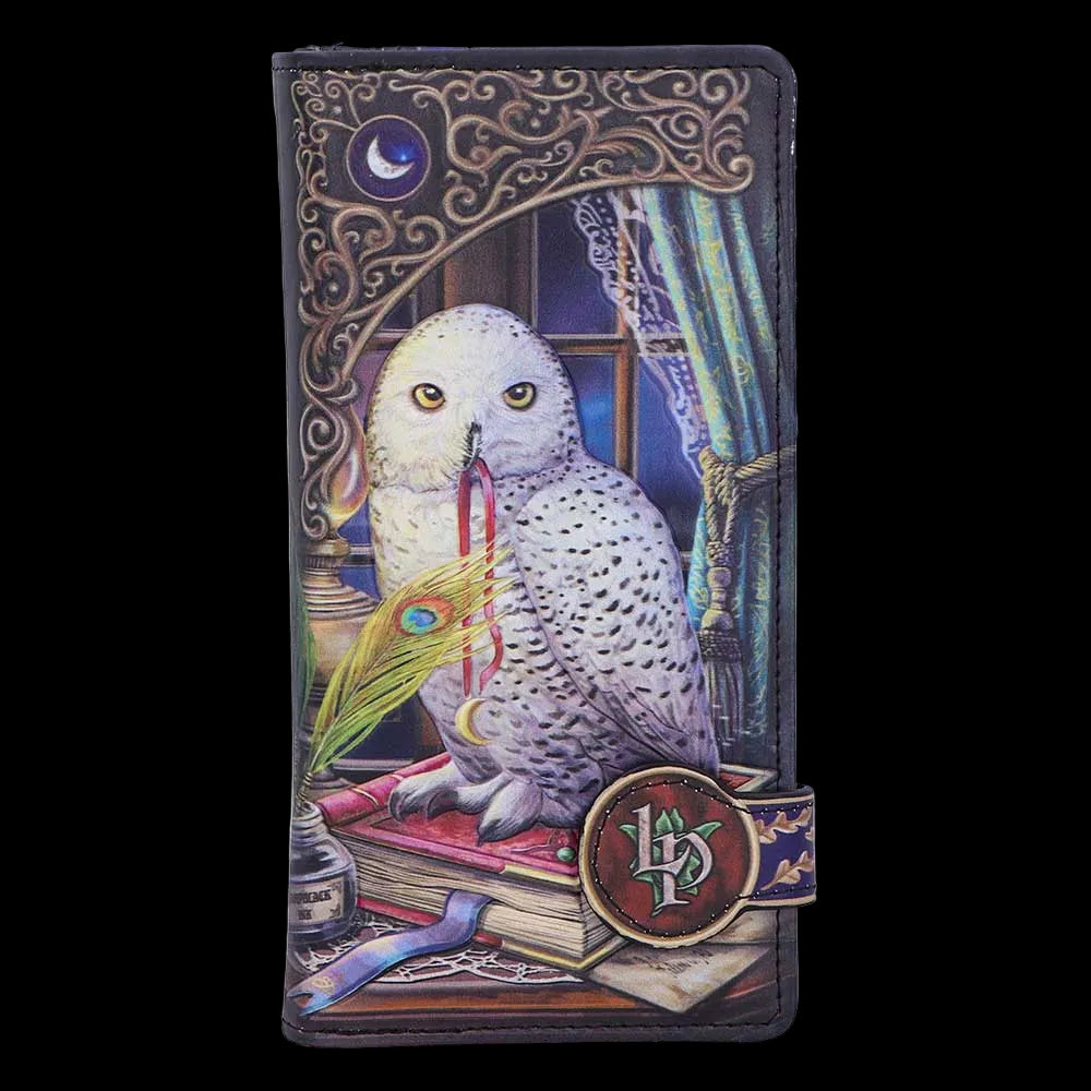 Geldbörse mit Fantasy Eulenmotiv " Guardian of Spells" Vintage Purse Witchy
