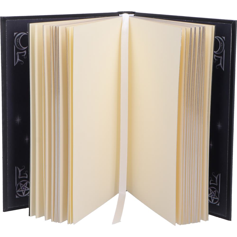 Cult Cuties Purrah Journal – Gothic A5-Notizbuch mit Mondmotiv