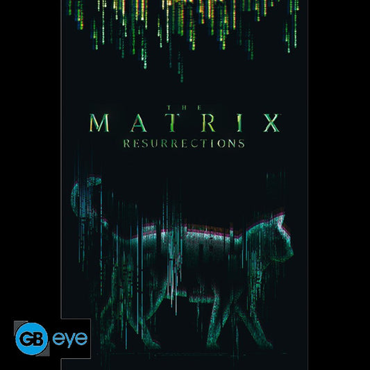 Poster 91,5 x 61 cm The Matrix - Cat