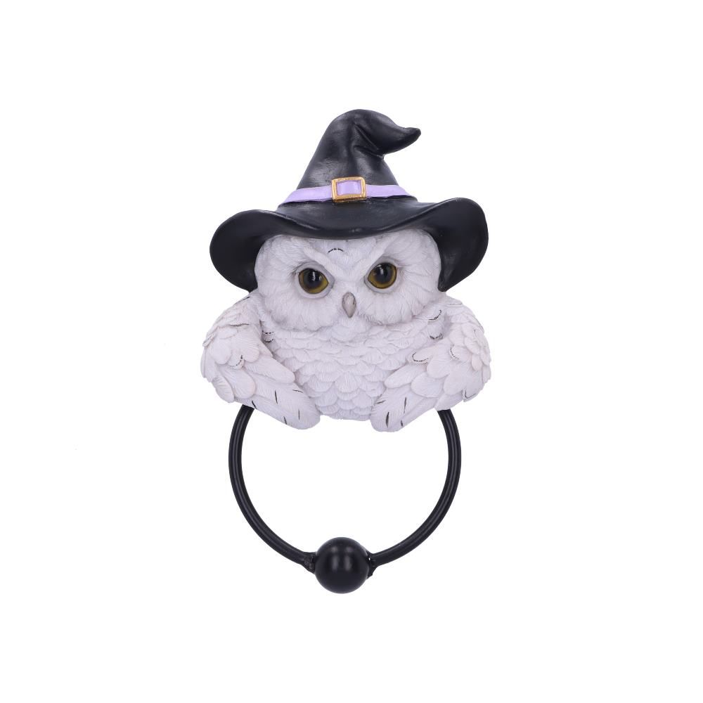Türklopfer Eule Snowy Magic