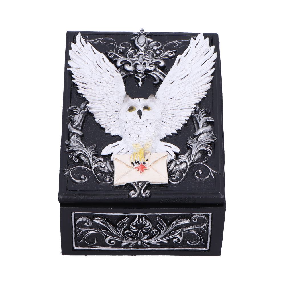 Witch Tarotkartenbox Schmuckschatulle Eule mit Brief Hedwig