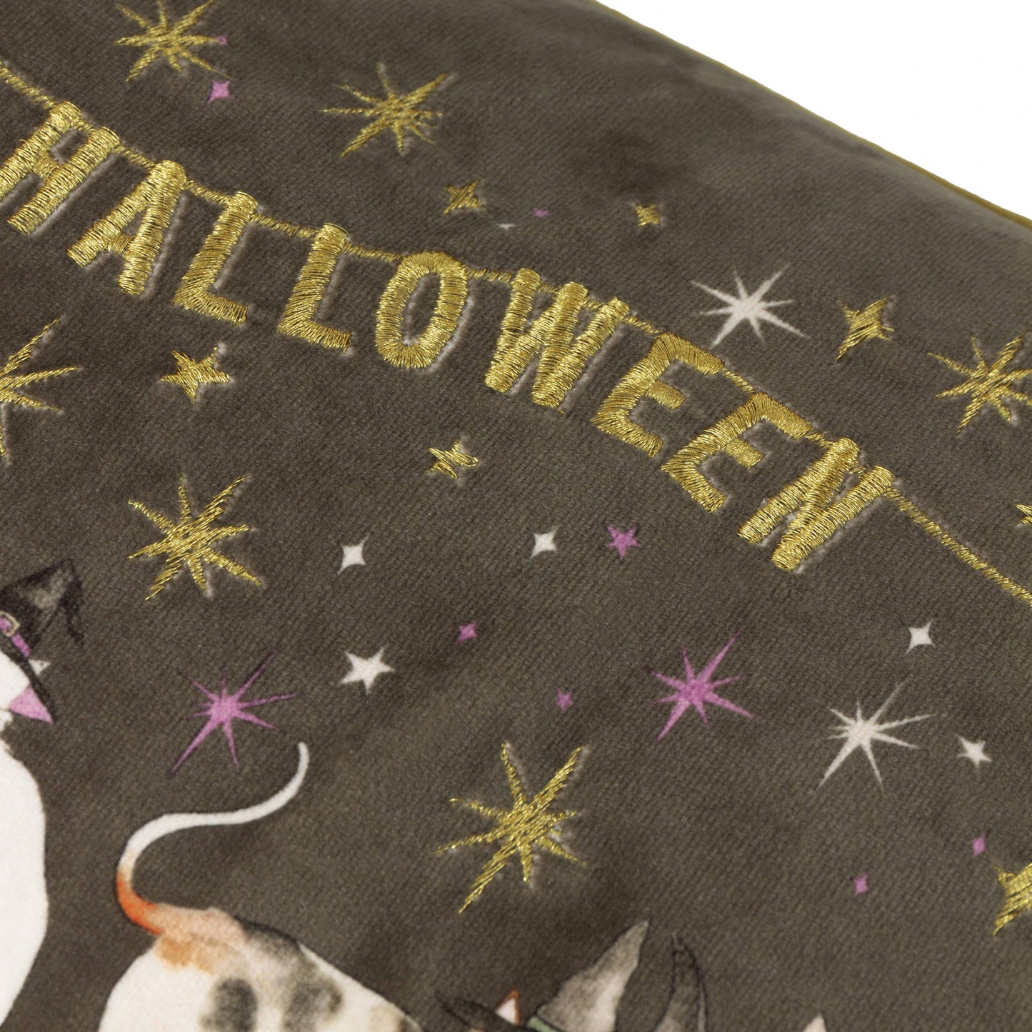 Halloween Party Samtkissen bestickt  Dekokissen Gothic 30x50 cm