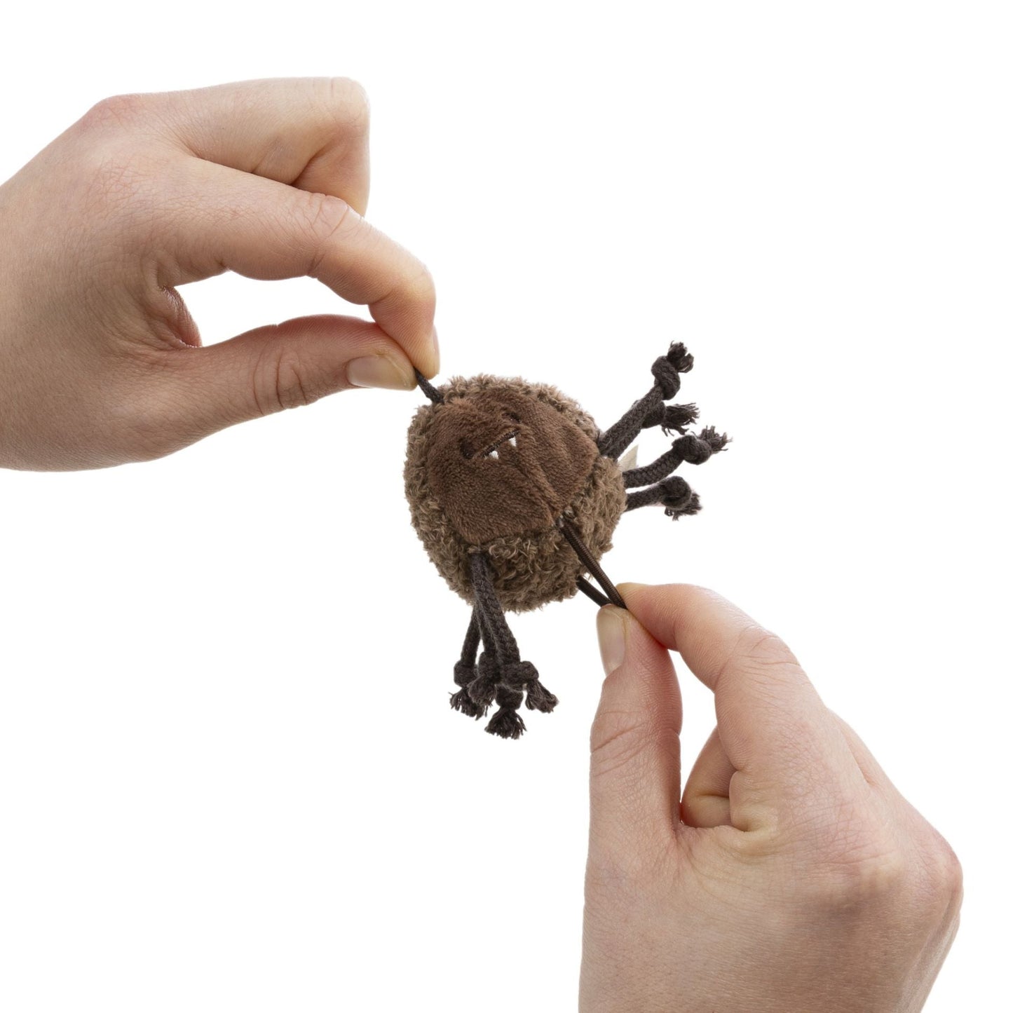 mymochi minis Spinne Ashi – Frontansicht freigestellt
