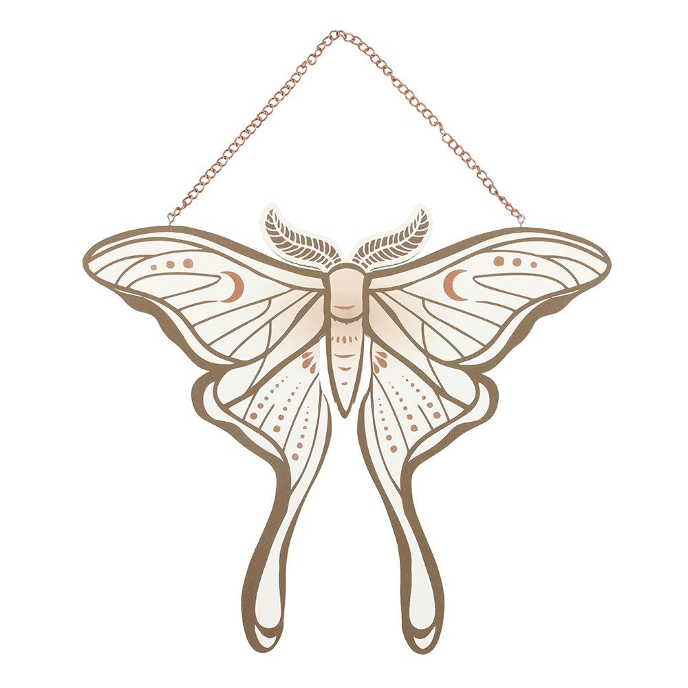 Wanddeko Nachtfalter Luna Moth Vintage Witchy MDF