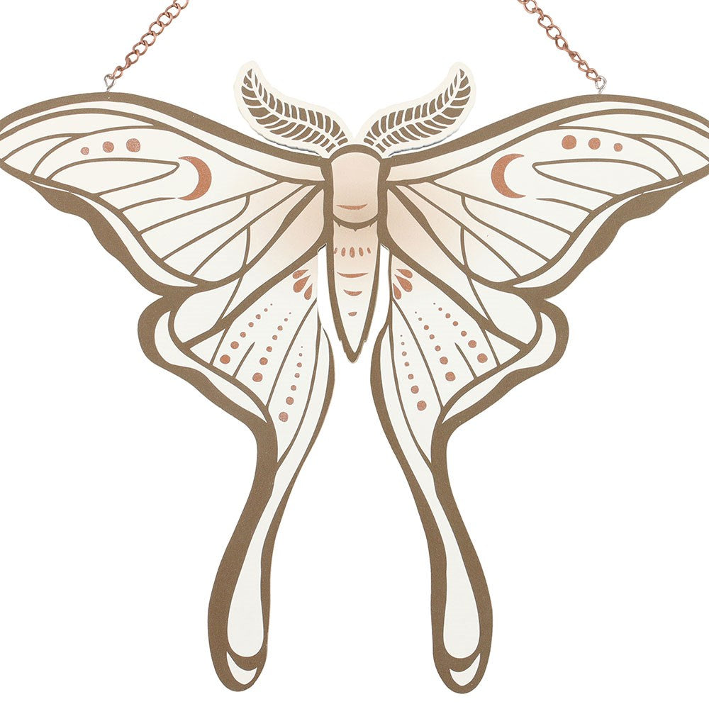 Wanddeko Nachtfalter Luna Moth Vintage Witchy MDF