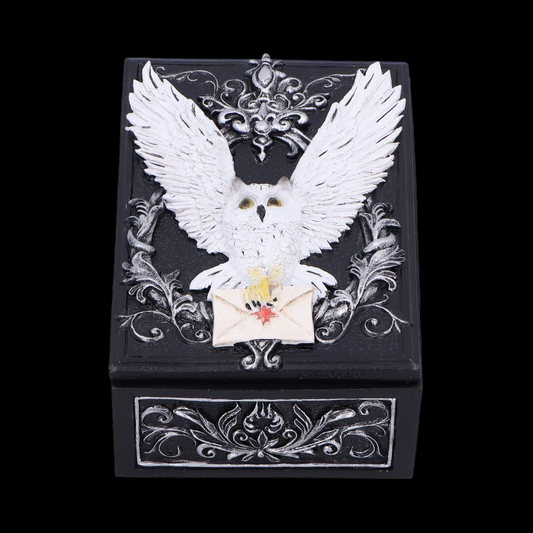 Witch Tarotkartenbox Schmuckschatulle Eule mit Brief Hedwig