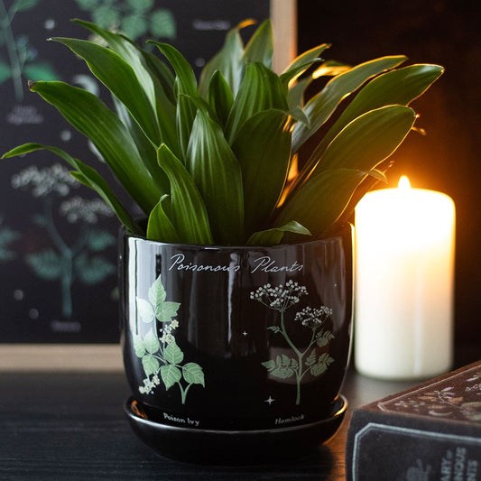 Giftige Pflanzen Blumentopf Gothic Deko