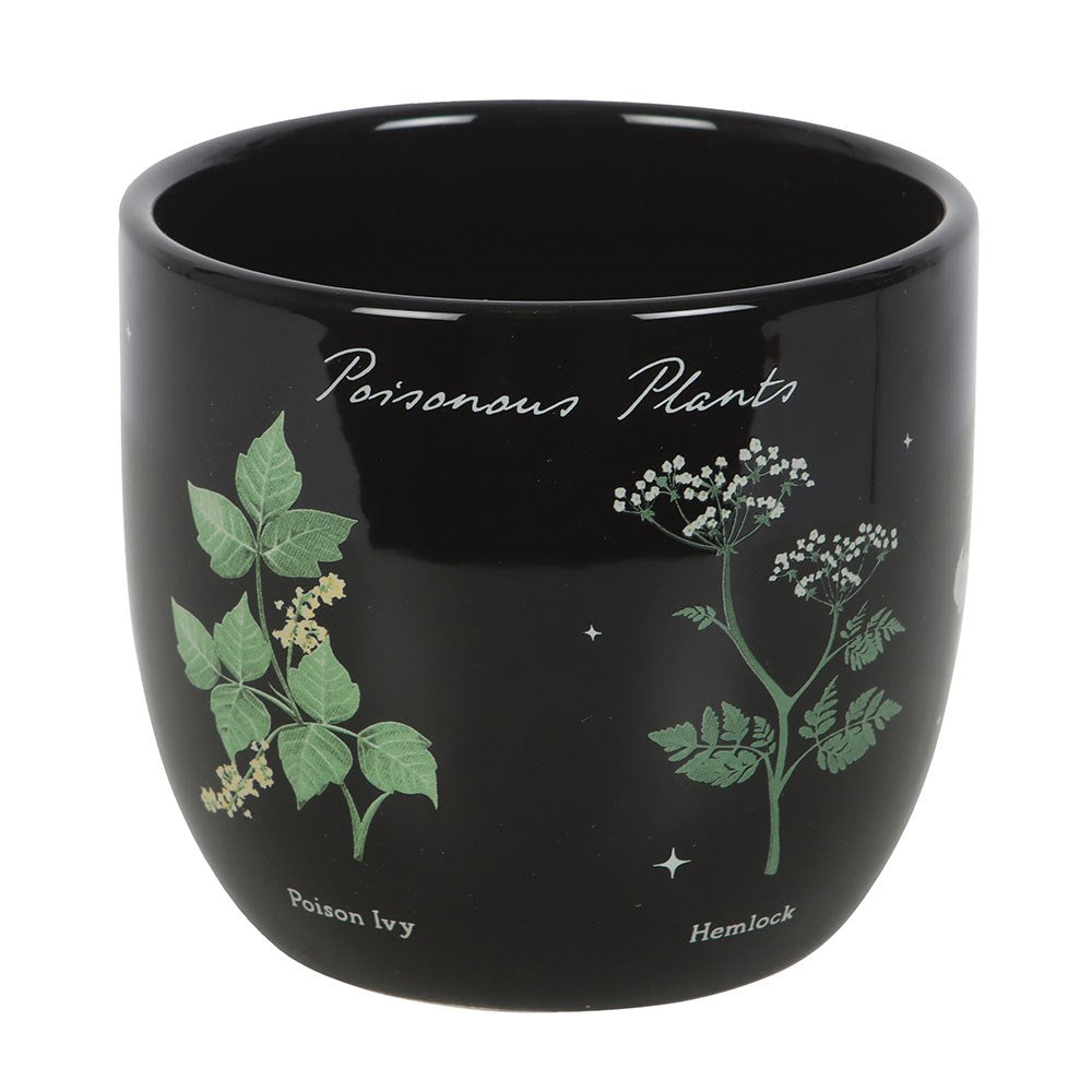 Giftige Pflanzen Blumentopf Gothic Deko