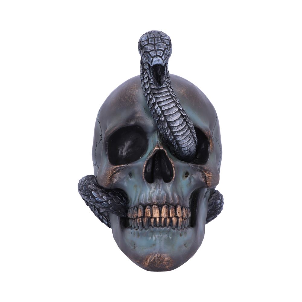 Serpentine Fate – Totenschädel mit Schlange 19 cm Gothic Dekofigur Skull