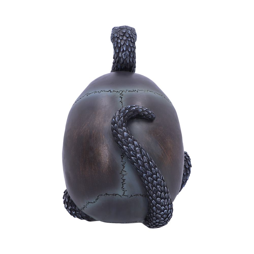 Serpentine Fate – Totenschädel mit Schlange 19 cm Gothic Dekofigur Skull