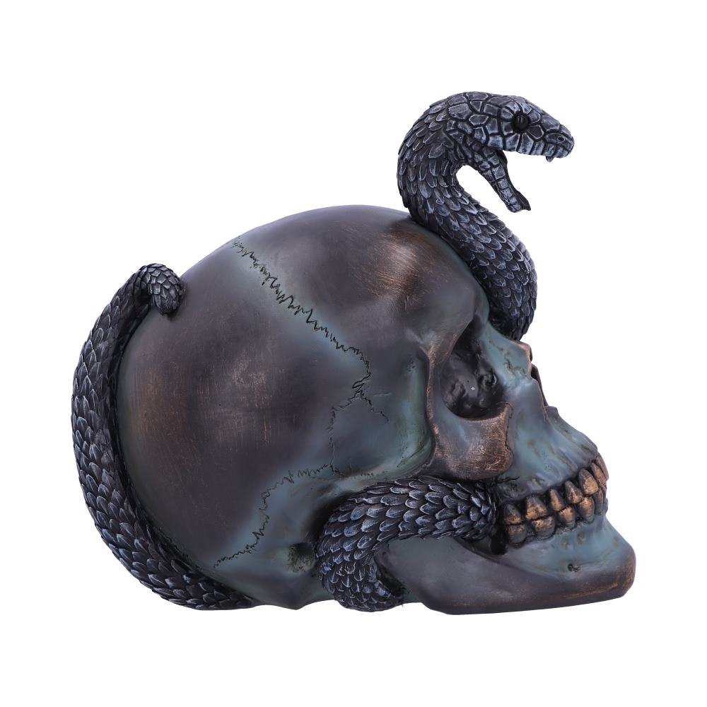 Serpentine Fate – Totenschädel mit Schlange 19 cm Gothic Dekofigur Skull