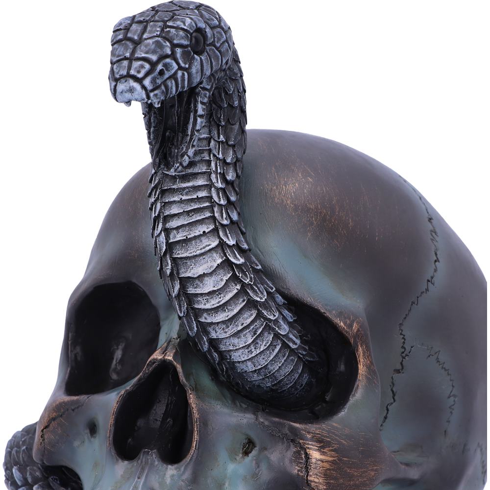 Serpentine Fate – Totenschädel mit Schlange 19 cm Gothic Dekofigur Skull