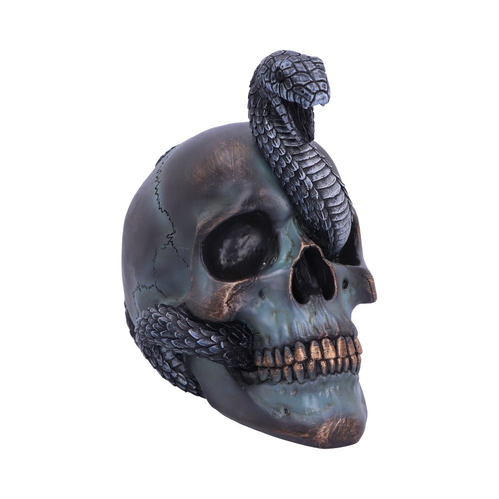 Serpentine Fate – Totenschädel mit Schlange 19 cm Gothic Dekofigur Skull