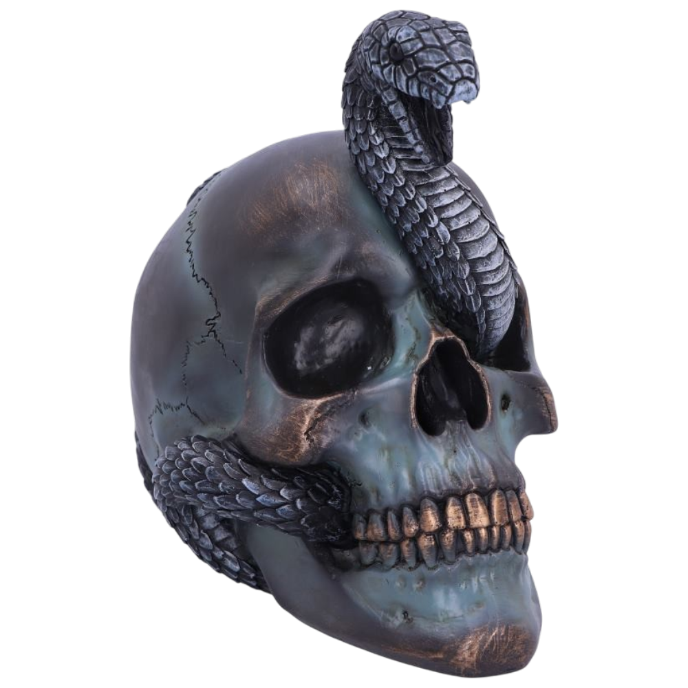 Serpentine Fate – Totenschädel mit Schlange 19 cm Gothic Dekofigur Skull