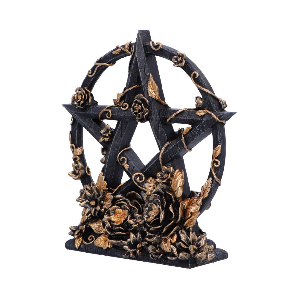 Dark Floral Pentagram Gothic Deko romantisch 16,5 cm