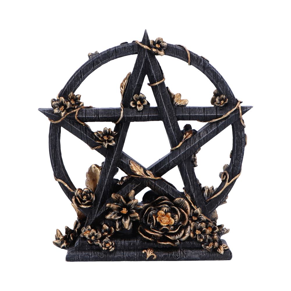 Dark Floral Pentagram Gothic Deko romantisch 16,5 cm