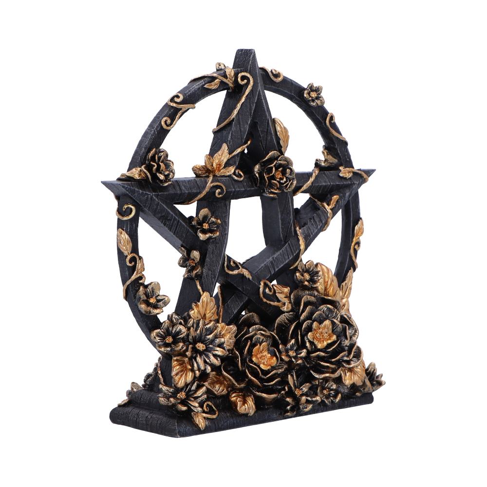 Dark Floral Pentagram Gothic Deko romantisch 16,5 cm