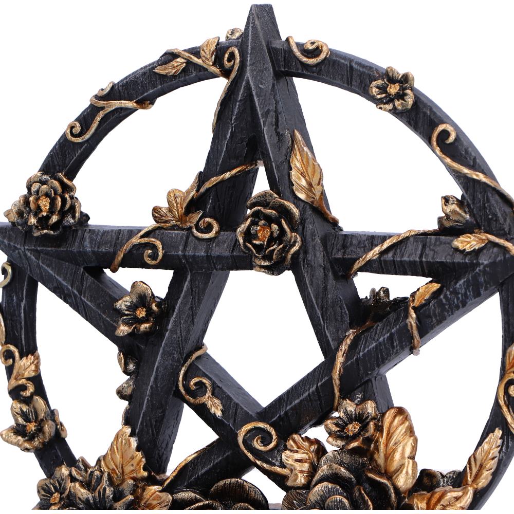 Dark Floral Pentagram Gothic Deko romantisch 16,5 cm