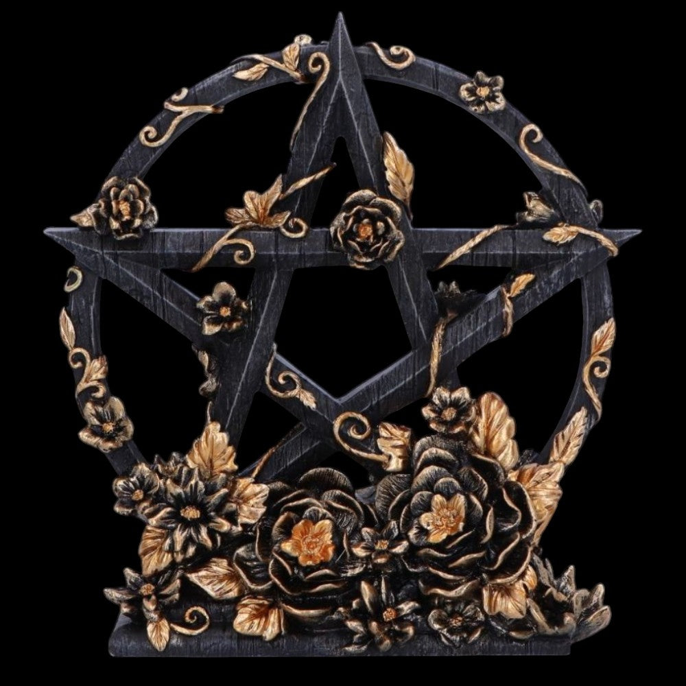 Dark Floral Pentagram Gothic Deko romantisch 16,5 cm