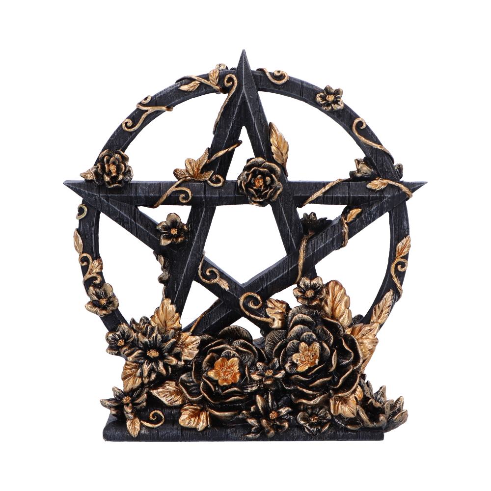 Dark Floral Pentagram Gothic Deko romantisch 16,5 cm