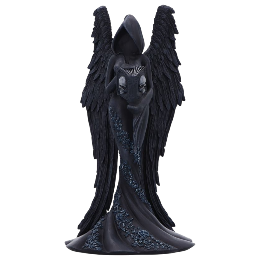 Femme Fatale Scholar – Gothic Engelsfigur mit Buch 21,9 cm Dekofigur Halloween