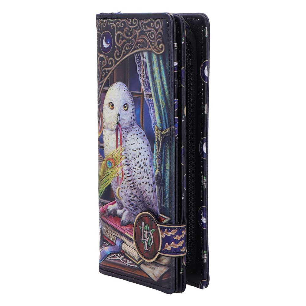 Geldbörse mit Fantasy Eulenmotiv " Guardian of Spells" Vintage Purse Witchy