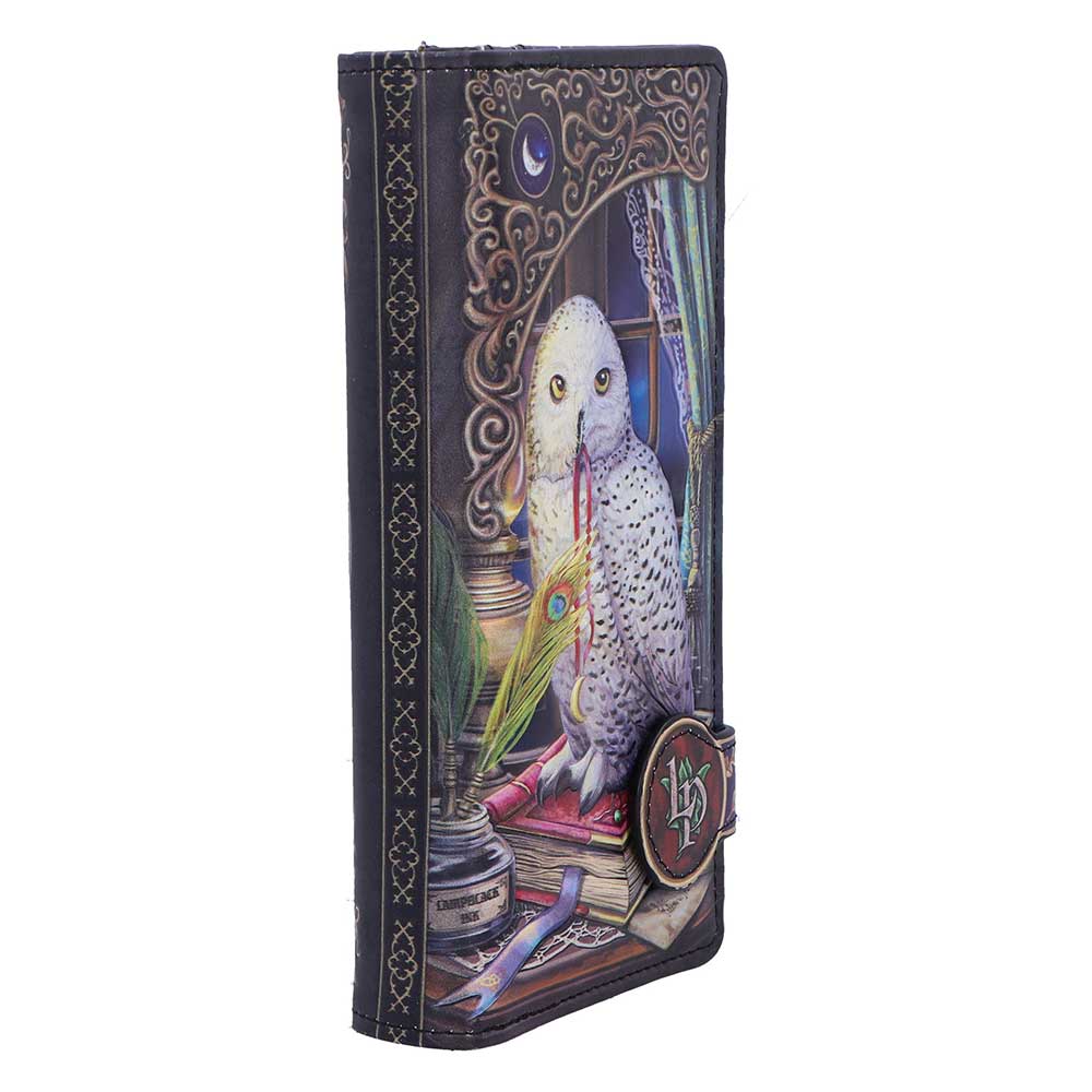 Geldbörse mit Fantasy Eulenmotiv " Guardian of Spells" Vintage Purse Witchy