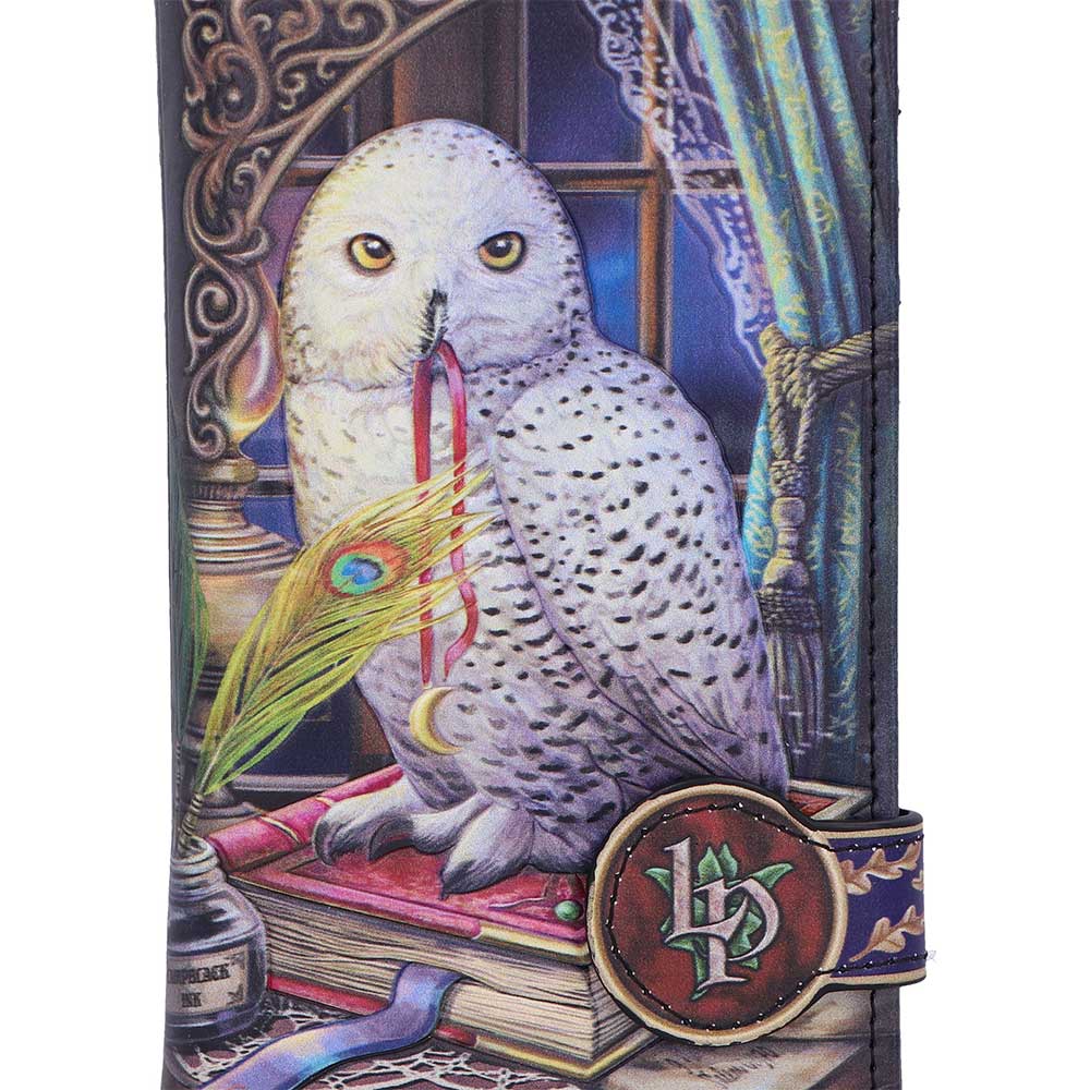 Geldbörse mit Fantasy Eulenmotiv " Guardian of Spells" Vintage Purse Witchy