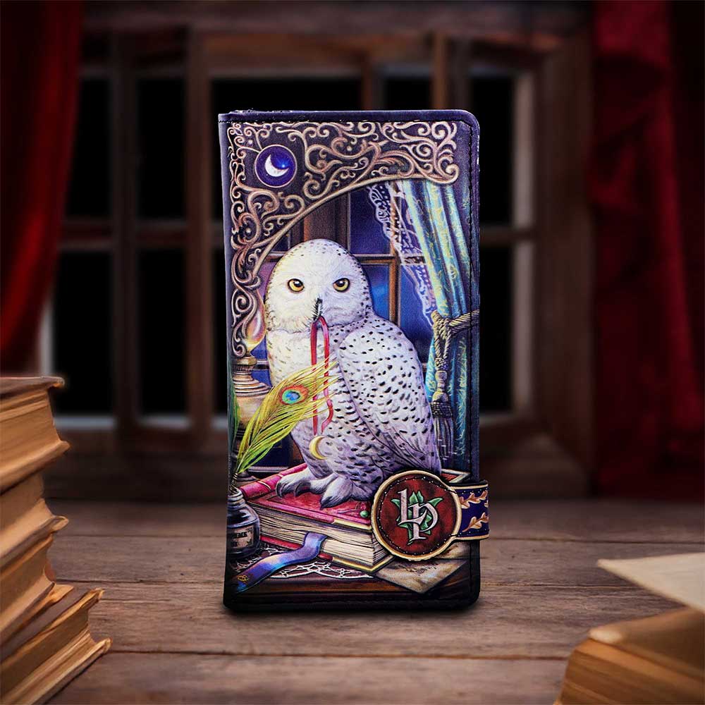 Geldbörse mit Fantasy Eulenmotiv " Guardian of Spells" Vintage Purse Witchy
