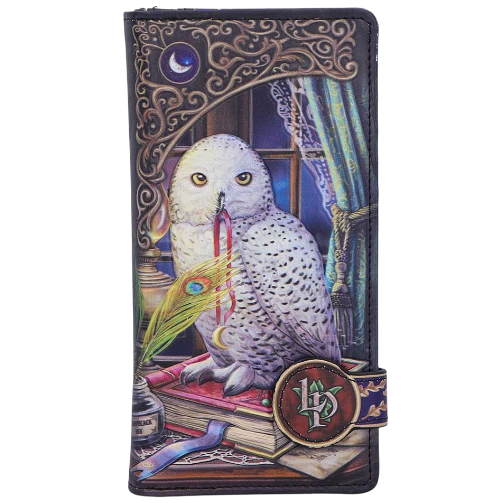 Geldbörse mit Fantasy Eulenmotiv " Guardian of Spells" Vintage Purse Witchy