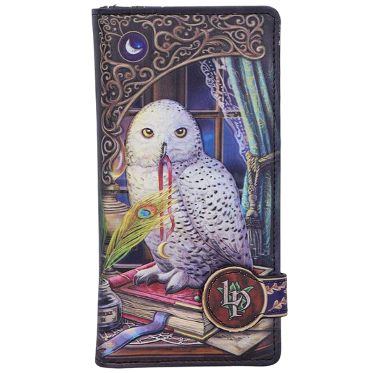 Geldbörse mit Fantasy Eulenmotiv " Guardian of Spells" Vintage Purse Witchy