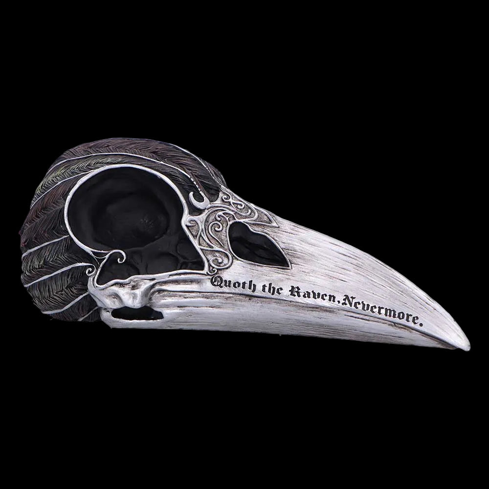 Mystischer Quoth The Raven Rabenschädel – Gothic Dekofigur Rabe 20 cm Edgar Allan Poe