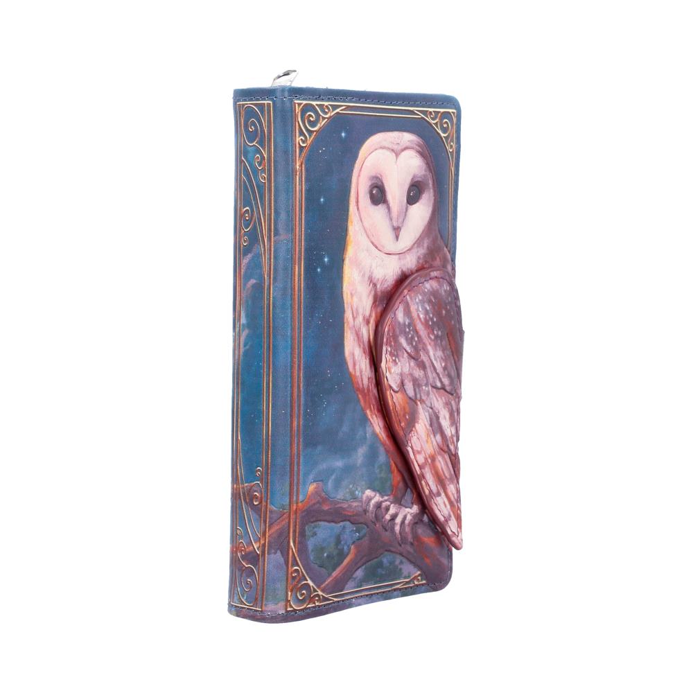 Mystische Geldbörse mit Fantasy Eulenmotiv und Ornamenten 3D Gothic