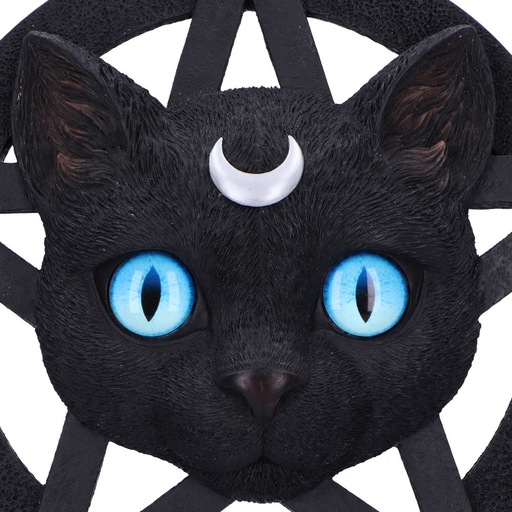Wanddekoration Feline Katze mit Pentagramm Gothic Deko