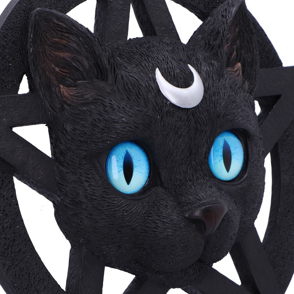 Wanddekoration Feline Katze mit Pentagramm Gothic Deko