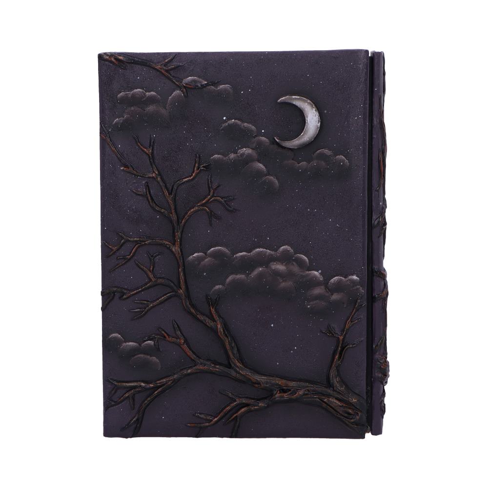 Gothic Tagebuch Notizbuch 3D Raven's Grimoire Journal 19 cm