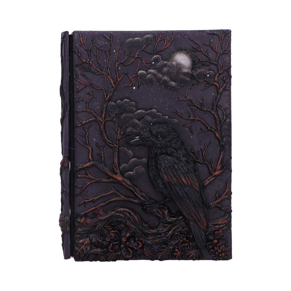 Gothic Tagebuch Notizbuch 3D Raven's Grimoire Journal 19 cm