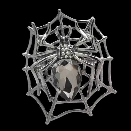 Nostalgische Brosche Spinne im Spinnennetz silberfarben