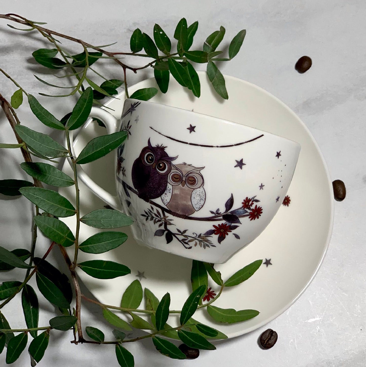 Duo Tasse Eulen Tasse mit Untertasse 250 ml