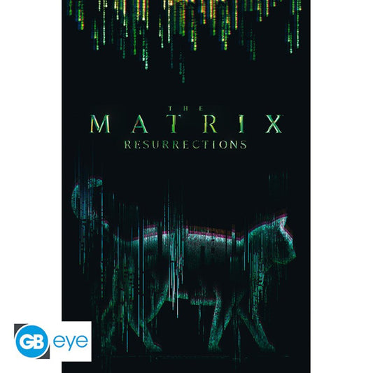 Poster 91,5 x 61 cm The Matrix - Cat