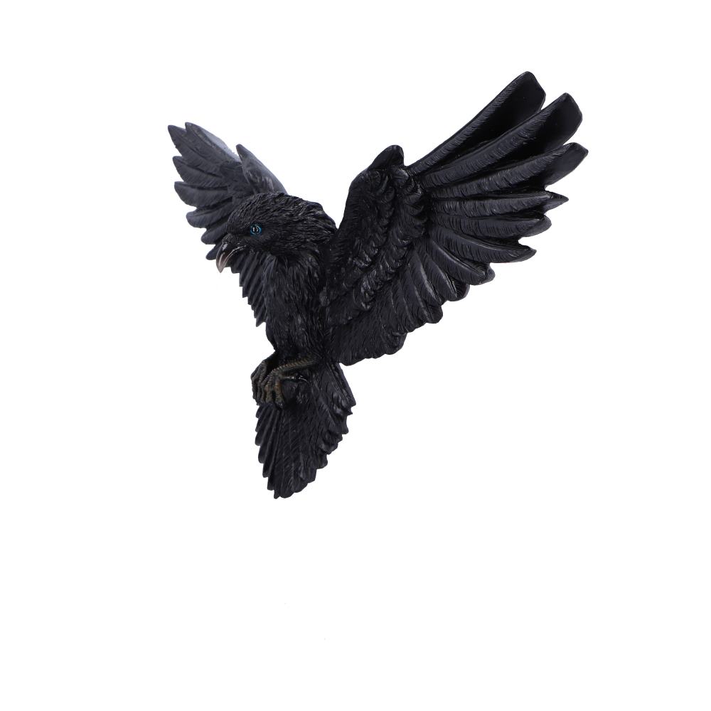 Flight of the Raven Wall Hanging Decoration 35 cm