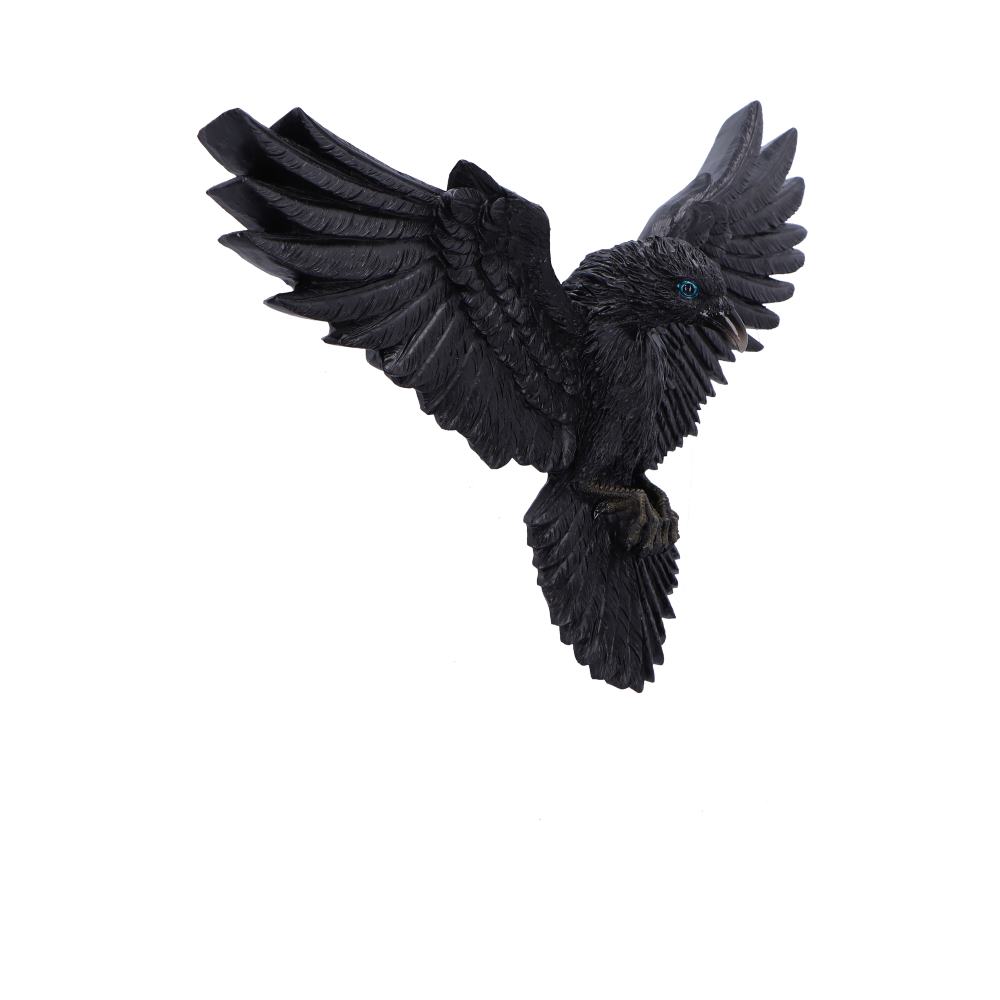 Flight of the Raven Wall Hanging Decoration 35 cm