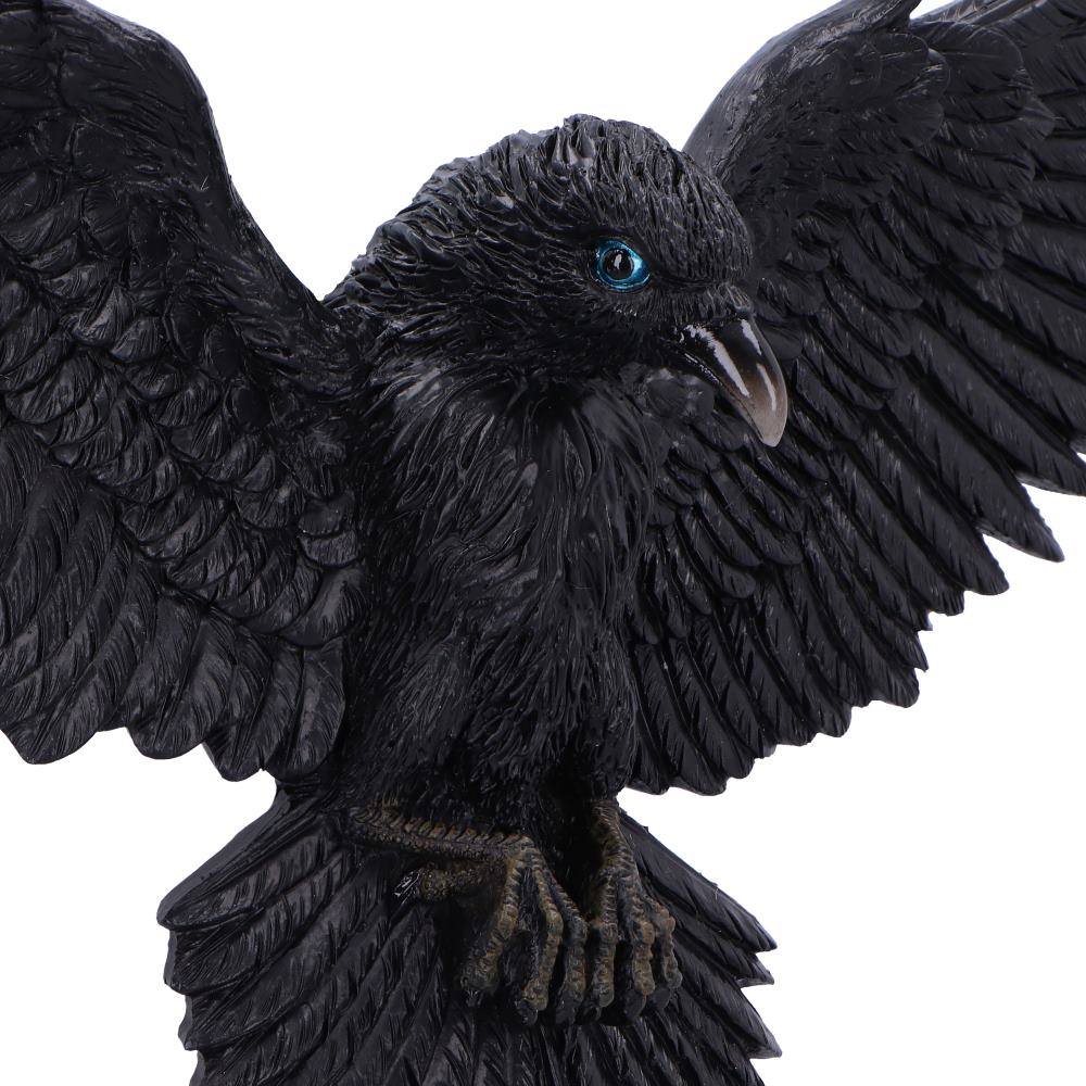 Flight of the Raven Wall Hanging Decoration 35 cm