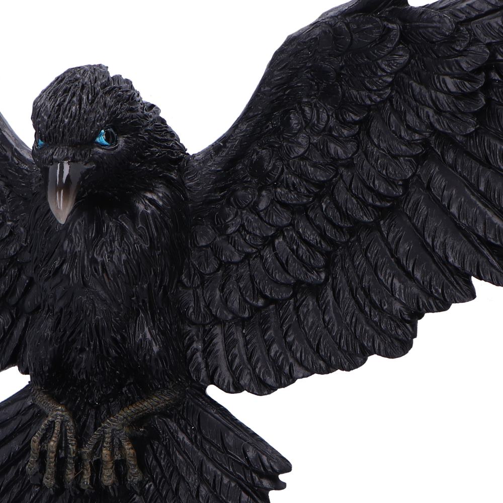 Flight of the Raven Wall Hanging Decoration 35 cm