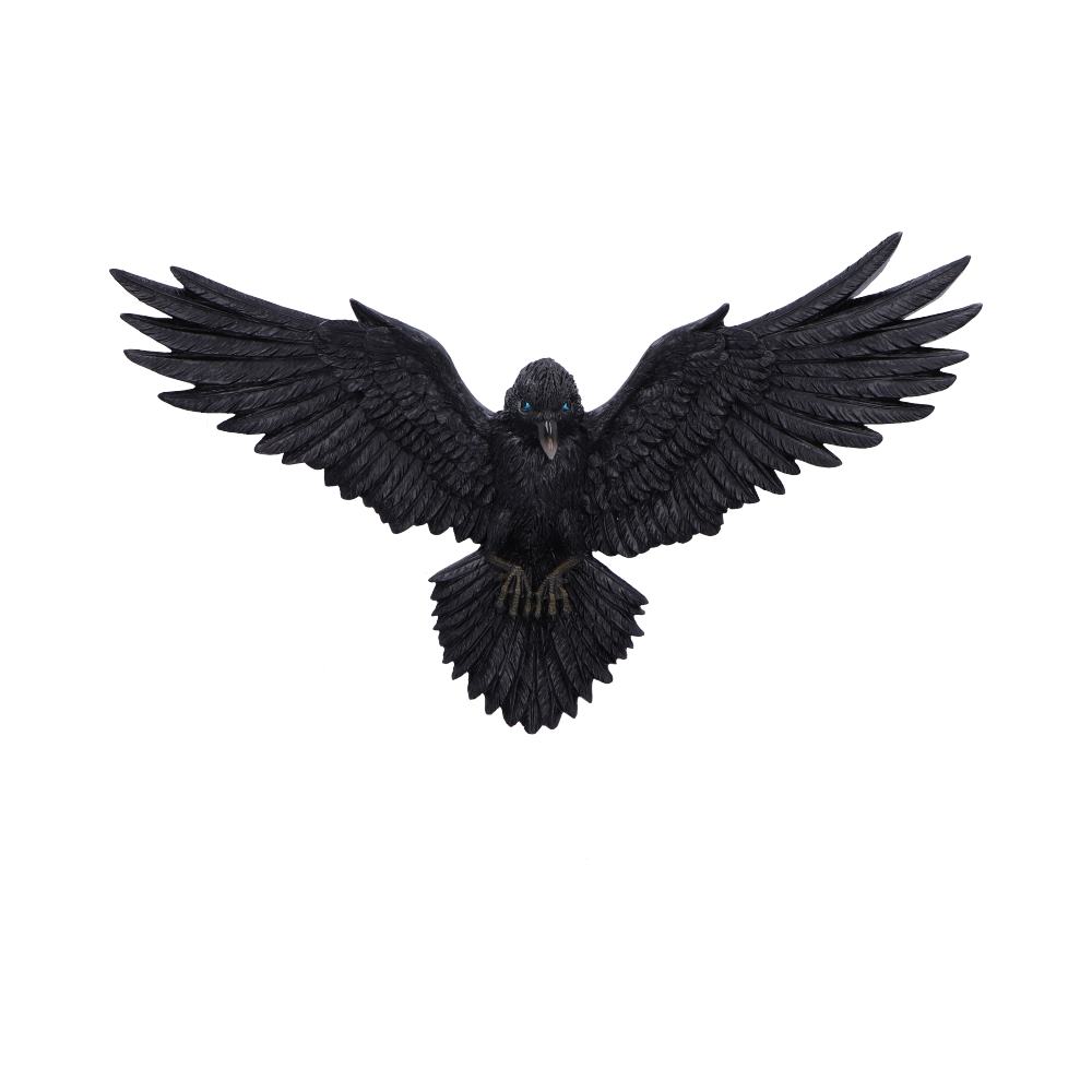Flight of the Raven Wall Hanging Decoration 35 cm