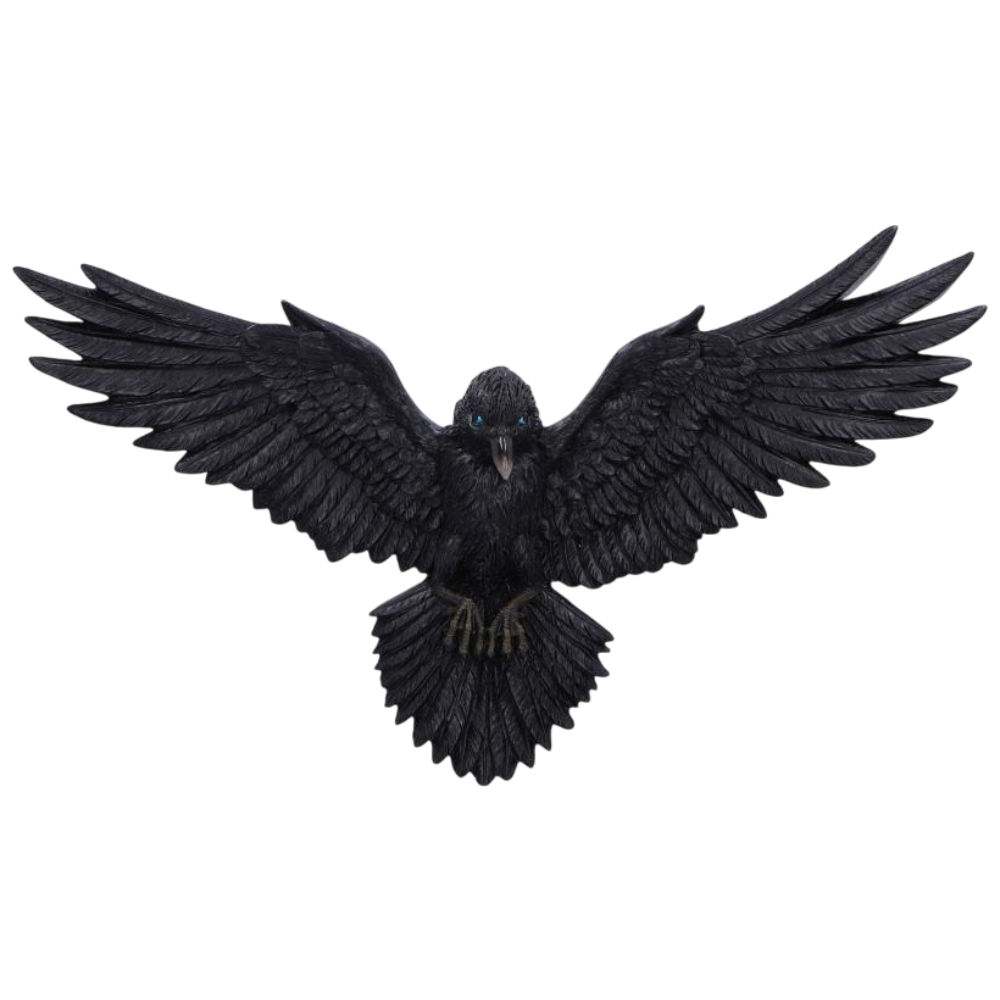 Flight of the Raven Wall Hanging Decoration 35 cm