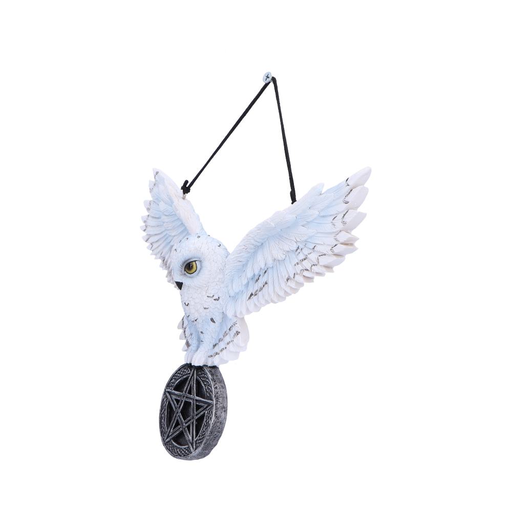 Schneeeule Wandhänger mit Pentagramm – Fantasy Talisman 20,5 cm