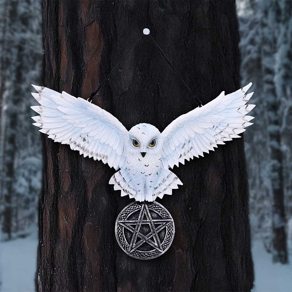 Schneeeule Wandhänger mit Pentagramm – Fantasy Talisman 20,5 cm